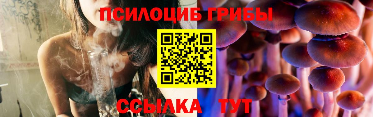 Псилоцибиновые грибы Psilocybe  Вход с VPN  Можга 