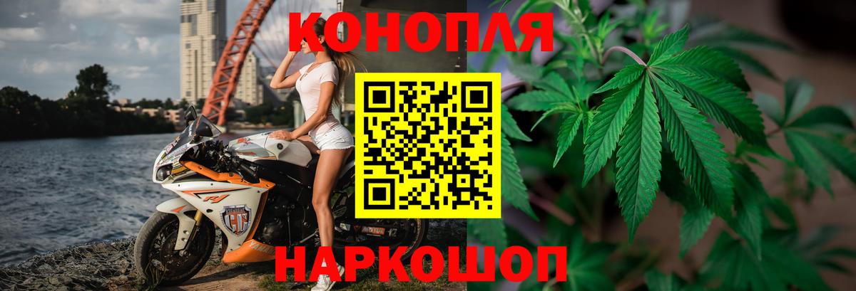 Каннабис гибрид Можга